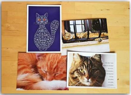 Postkarten Cat Set