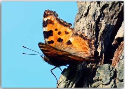 Postkarte Zum Abflug bereit