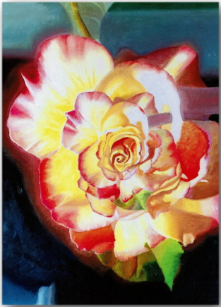 Postkarte Rose
