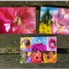 Bienen-Set 2