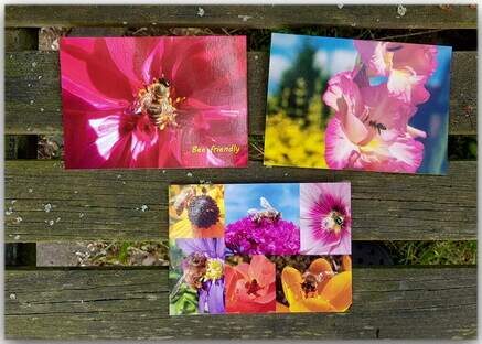 Bienen-Set